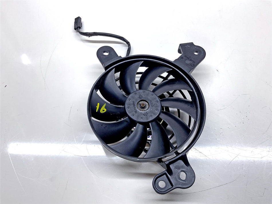2024 Triumph Tiger 900 GT Pro Radiator & Fan - T2104202