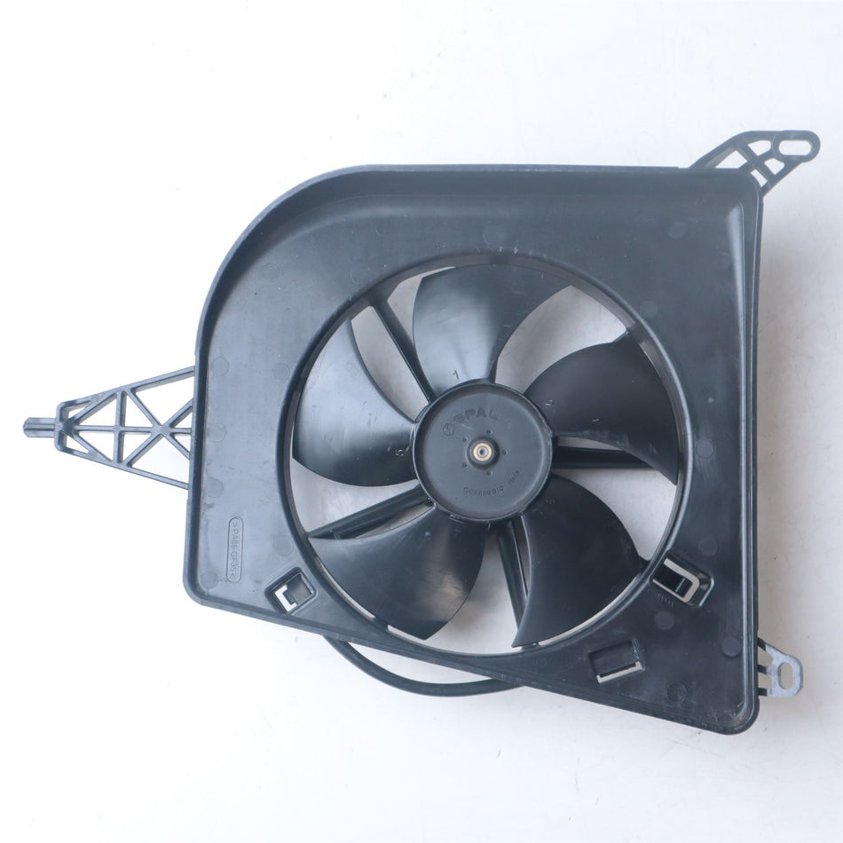 2019 BMW S1000RR Sport Fan - 17428356815