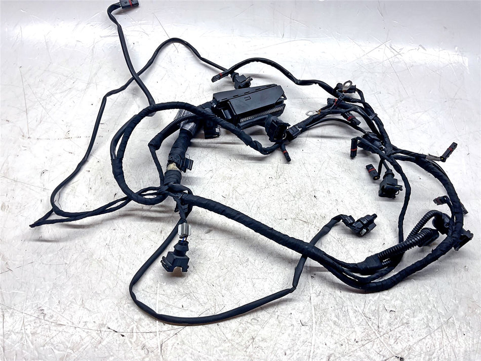 2016 BMW R Nine T Engine Wiring Harness - 12518548703