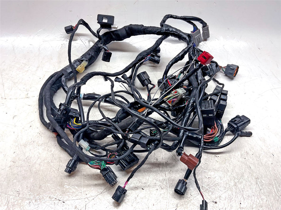 2025 Triumph Trident 660 Wiring Harness Loom - T2505053