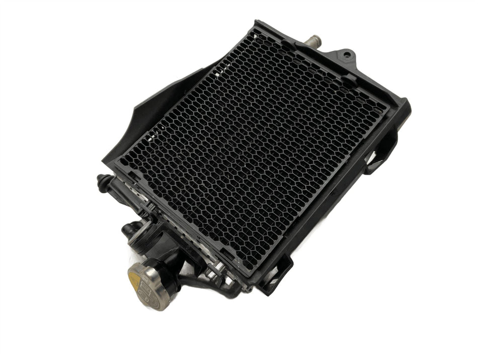 2025 BMW R1300GS ASA Radiator 17119444158