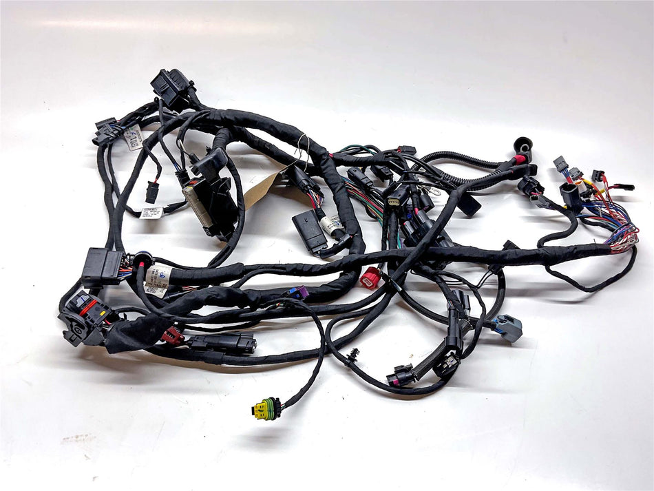 2024 Harley-Davidson Fat Bob FXFBS 114 Main Wiring Harness Loom - 69202197