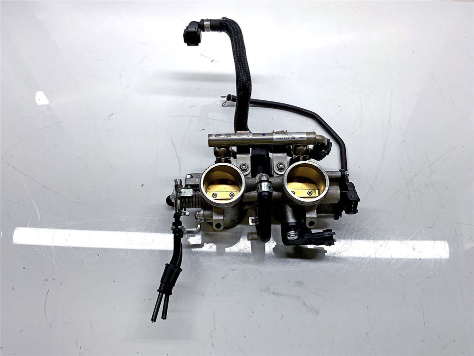 2024 Benelli TRK 702 Throttle Bodies - 289016580010
