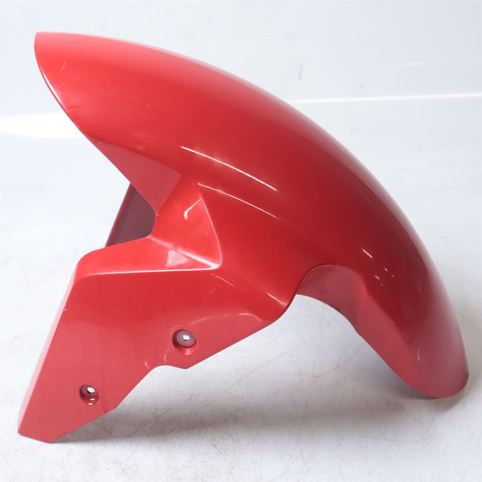 2017 BMW S1000R Front mudguard - 46617715964