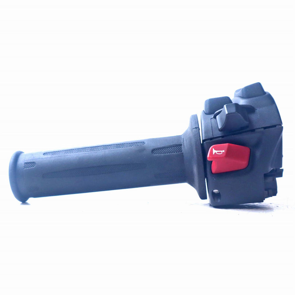 2023 BMW R Nine T Left Switch Gear & Grip - 61319480151