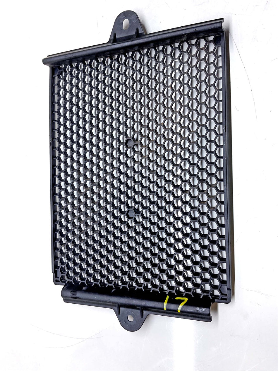 2024 Triumph Tiger 900 GT Pro Radiator Guard  - T2104215