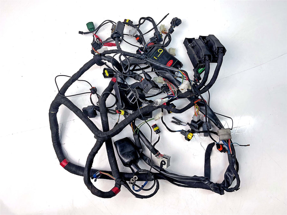 2009 Aprilia Tuono 1000 Main Wiring Harness Loom - 2D000302
