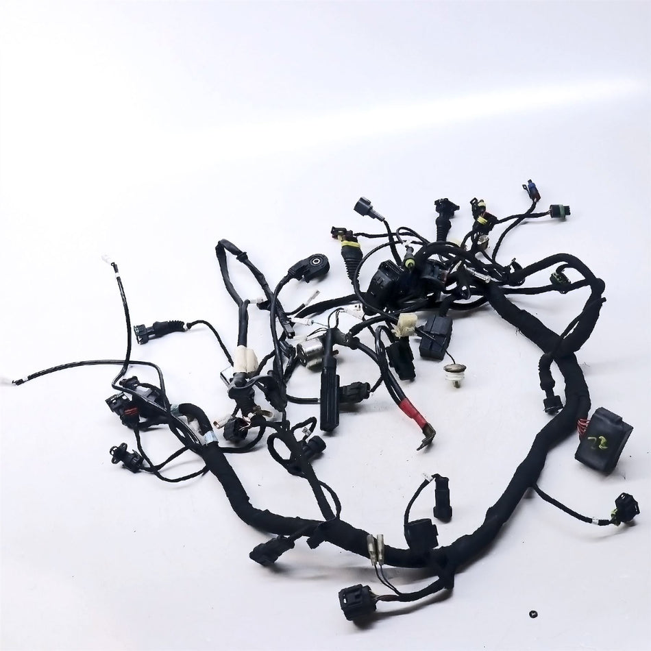 2009 Ducati 848 Wiring Harness - 51014774B