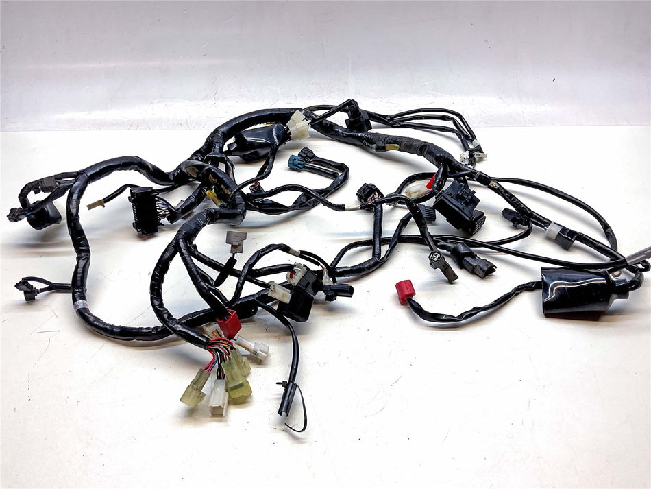 2024 Yamaha YZF-R 125 Wiring Harness Loom - BNUH259000