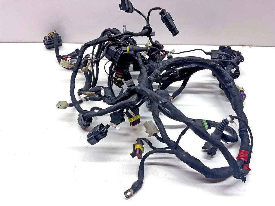 2014 Ducati Monster 696 Wiring Harness Loom - 51016981B