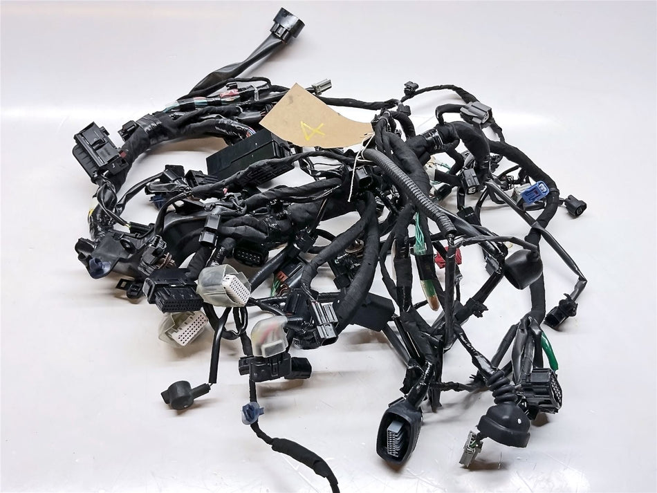 2024 Honda CRF1100L Africa Twin Adv Sports Wiring Harness - 32100MLNEQ0