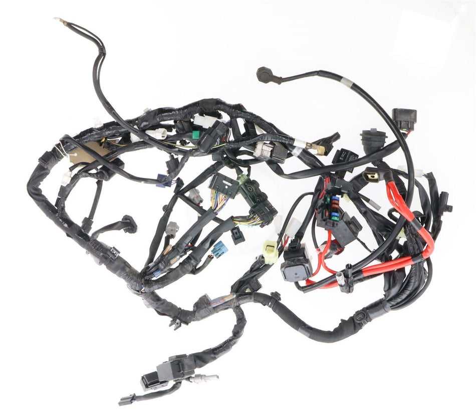 2016-2021 YAMAHA XSR 900 Wiring Harness - B908259000
