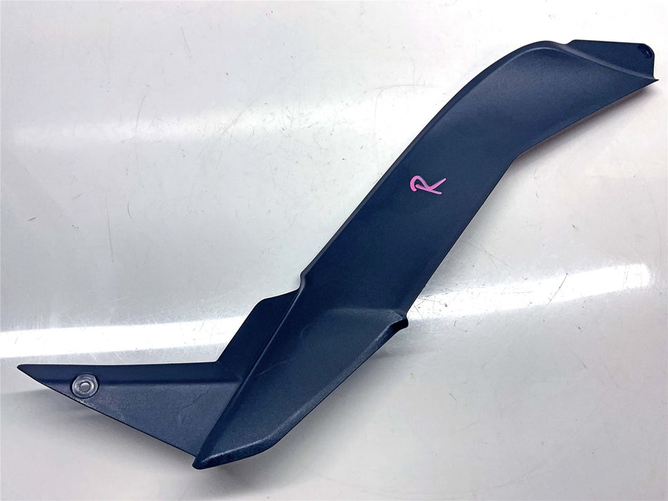 2020 Kawasaki Ninja ZX10R ZX1000 Righthand Knee Grip Cover - 140930530