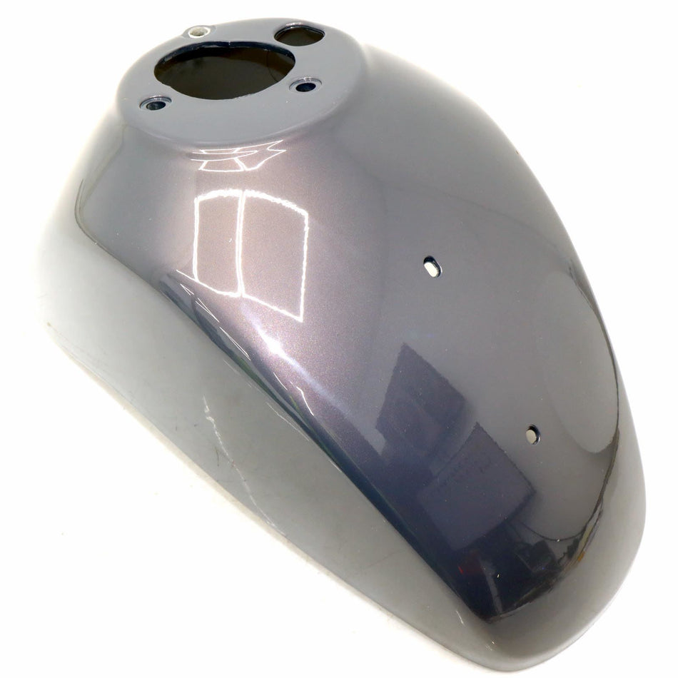 2012-2013 PIAGGIO VESPA LX-50/150/125 Front Mudguard Fender - 66652800