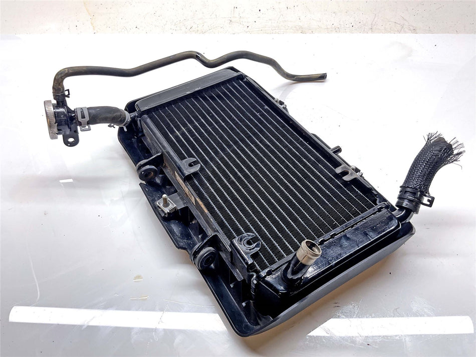 2024 Royal Enfield Himalayan Radiator - RLW00047
