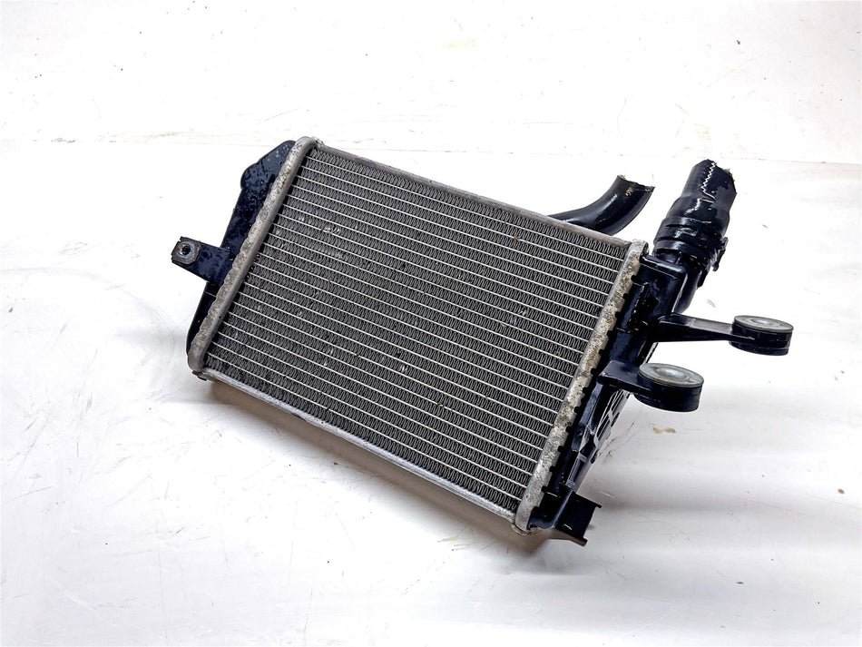 2019 BMW R1250GS Adventure Left Radiator - 17118546408