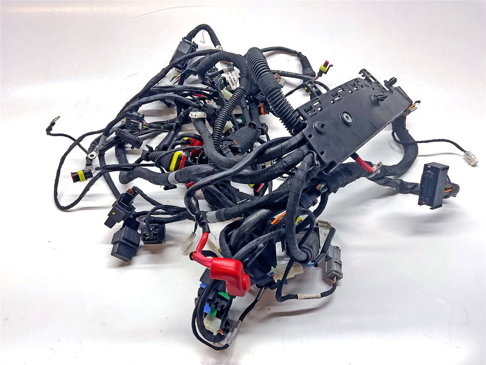 2018 Aprilia Tuono V4 1100 Main Wiring Loom Harness - 2D000302