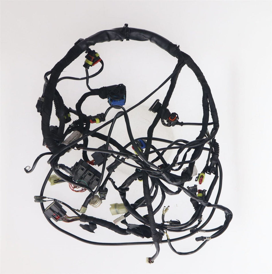 2009-2012 DUCATI STREETFIGHTER S Wiring Loom - 51016621B
