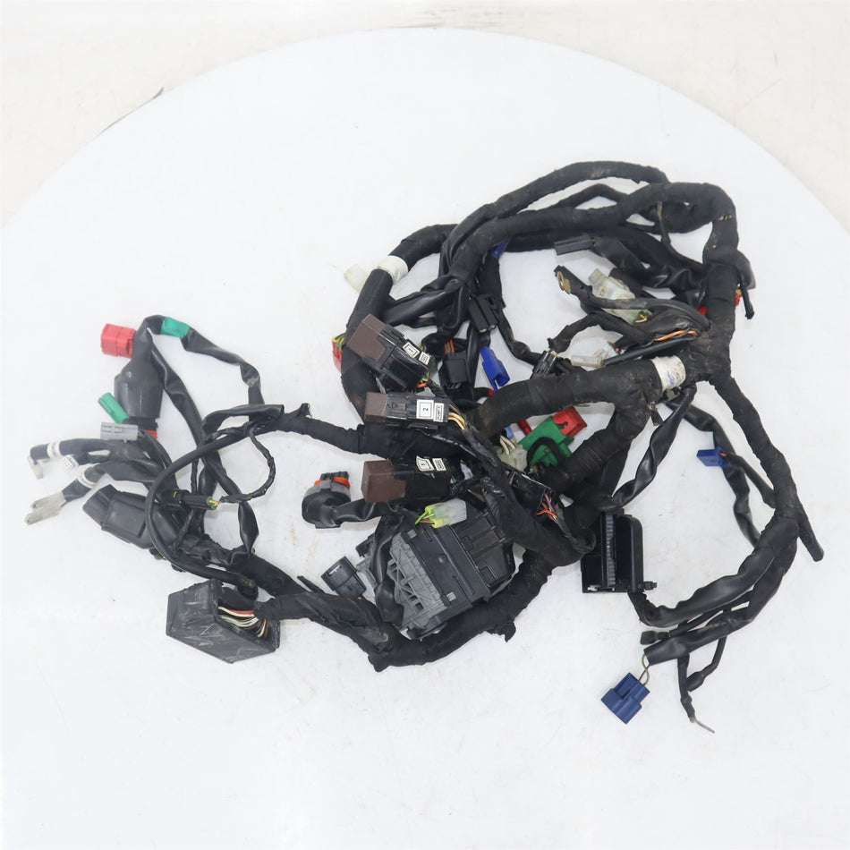 2020 KTM 390 ADVENTURE Wiring Harness - 95811075000