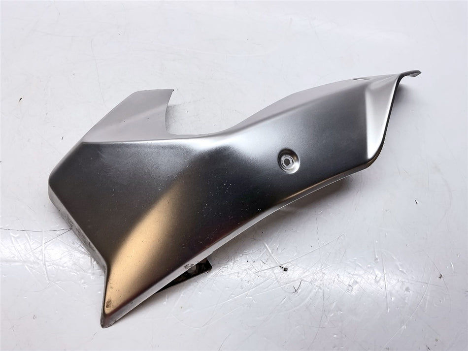 2019 BMW R1250R Left Stainless Engine Spoiler - 46631540815