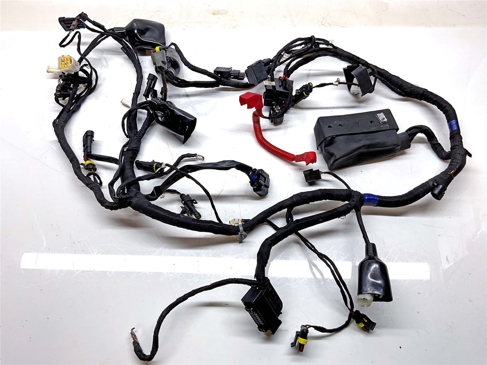 2024 Benelli TRK 702 Wiring Harness Loom - 92050PA80001