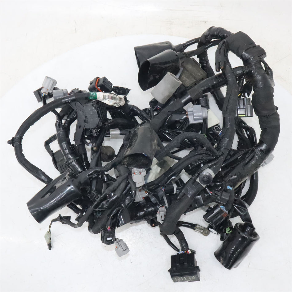 2022 KAWASAKI NINJA H2 SX Wiring Harness - 260313889