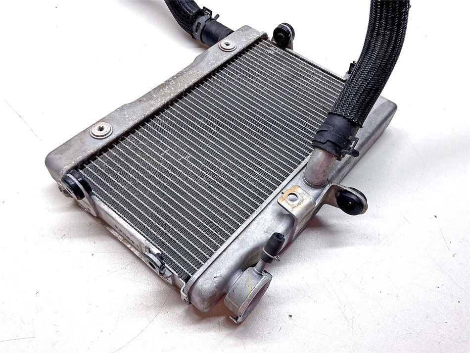 2024 Honda CL500 Radiator - 19010MLPDA1