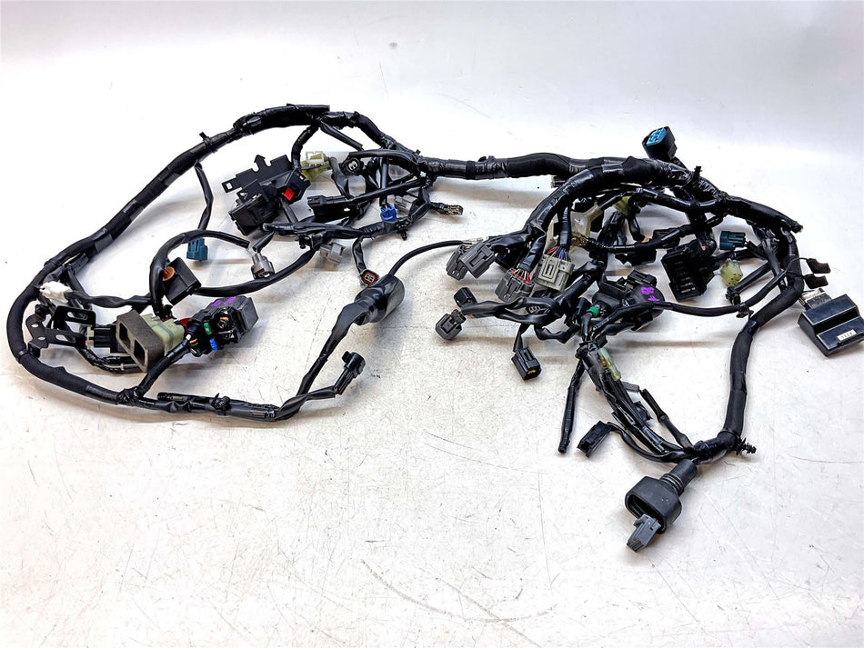2018-2022 Kawasaki Z900 Wiring Loom