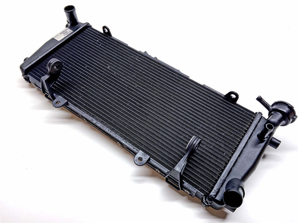 2021 BMW R1250R Radiator - 17118525833