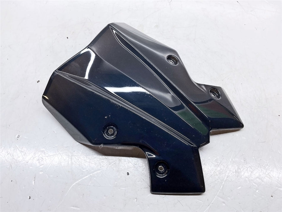 2024 Kawasaki ER-6f Screen - 140930934
