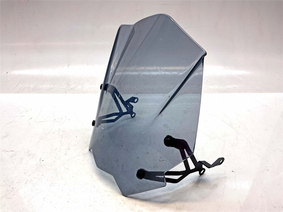 2017 BMW G310R Screen