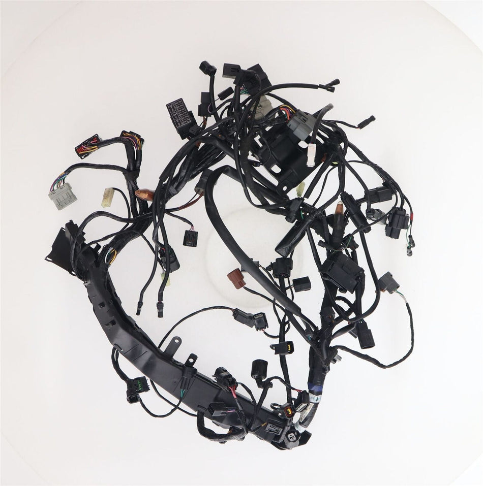 2020-ON TRIUMPH TIGER 900 GT Wiring Harness - T2501955