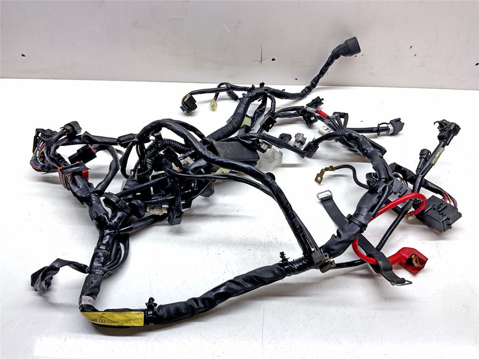 2015 Yamaha MT-07 Wiring Harness Loom - 1WS825900100