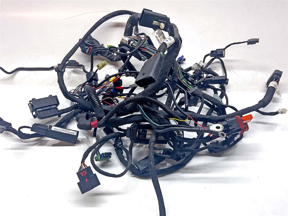 2023 Harley-Davidson Sport Glide Wiring Harness Loom - 68202199