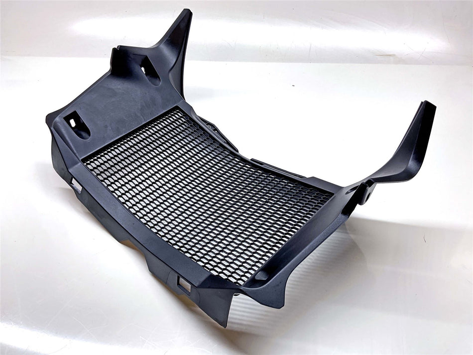2020 BMW F750GS Sport Radiator Fairing  - 46631599149
