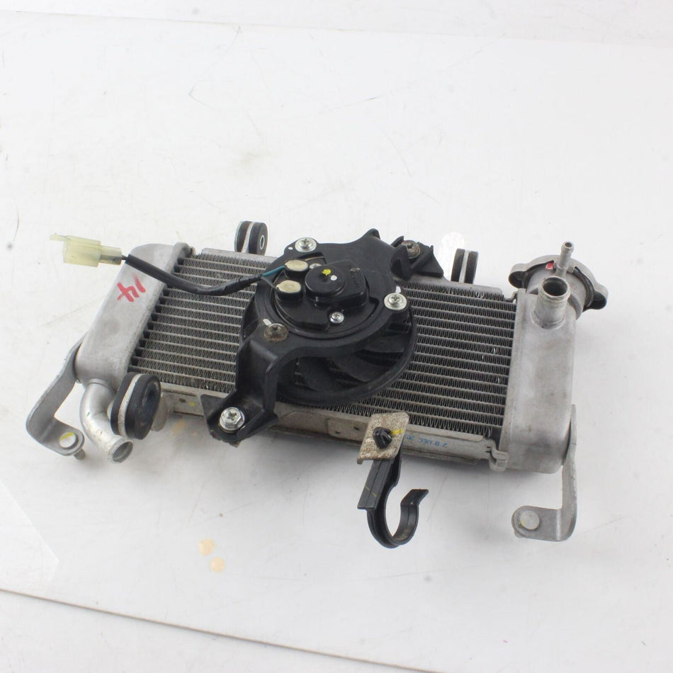 2020-ON YAMAHA MT-125 Radiator Assembley - BK6E246000