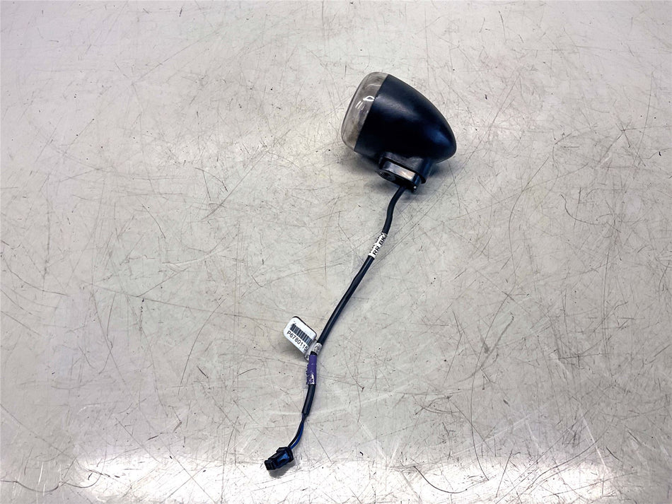 2023 Harley-Davidson Sportster S Right Rear Indicator - 67801154