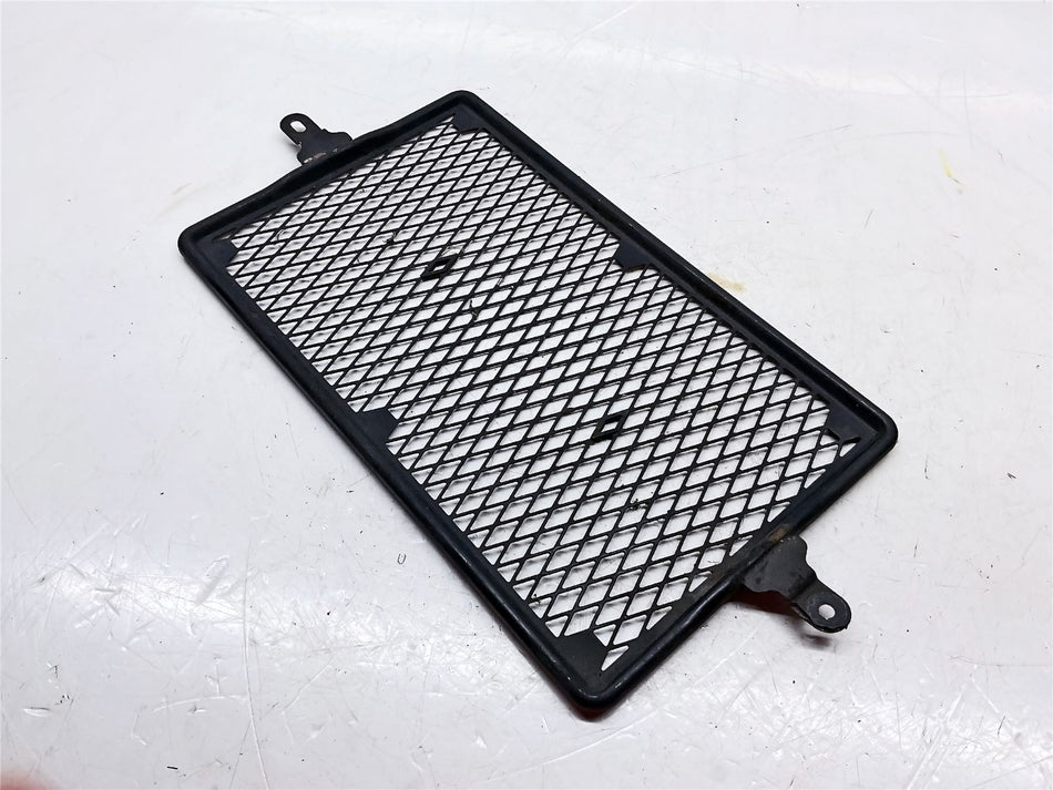 2019 Triumph Street Twin Performance Radiator Guard