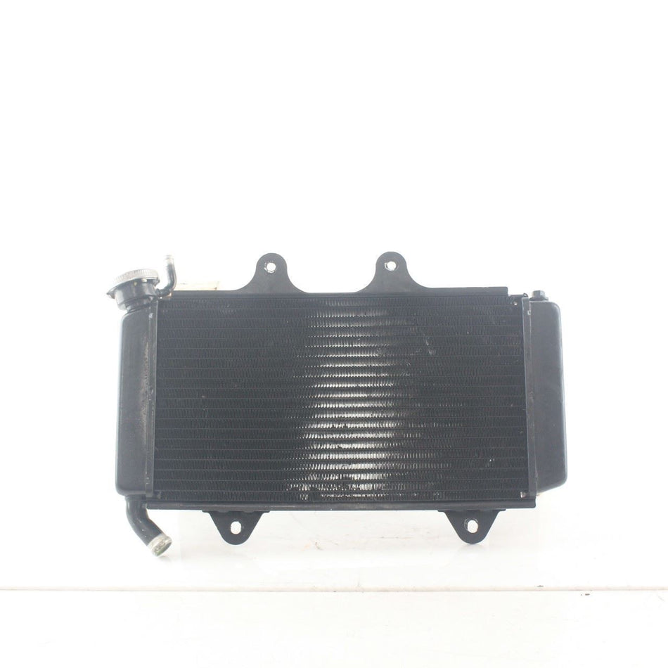 2017-2021 KTM RC 125 Radiator - 90835010133