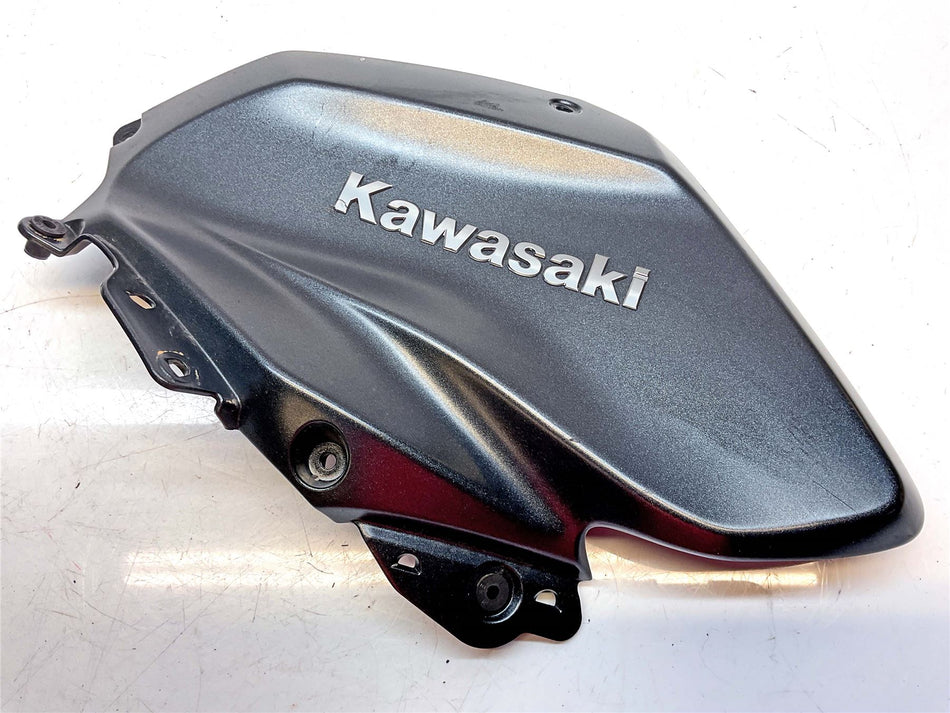 Kawasaki H2 Left Fuel Tank Panel