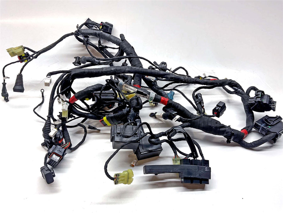 2018 Ducati SuperSport 939 S Main Wiring Harness Loom - 5101B191D
