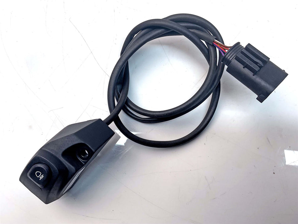 2021 BMW R1250GS Auxilliary Light Switch - 61318394256