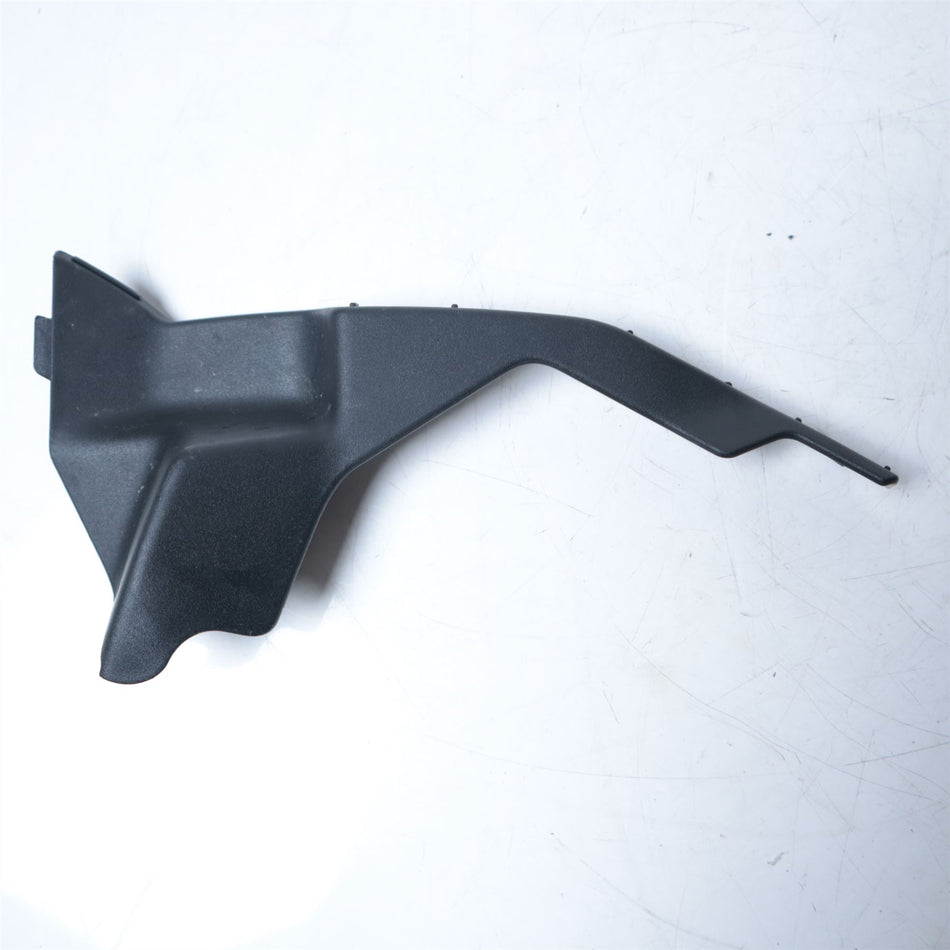 2021 BMW S1000R Right Internal Cover - 46631540620
