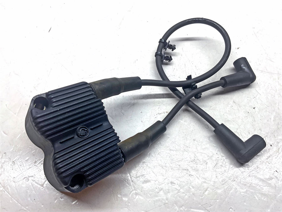 2010 Harley-Davidson Wide Glide FXWG Ignition Coils - 31743-01