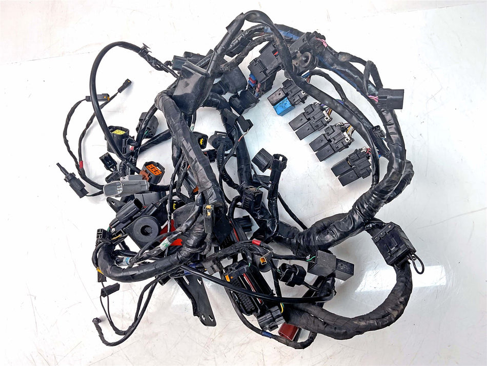 2015 Triumph Tiger Explorer Wiring Harness Loom - T2501095