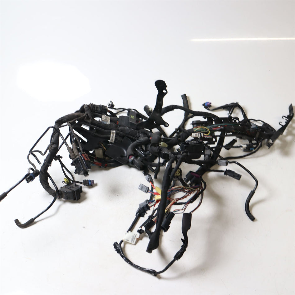 2018 Harley-Davidson Softail Deluxe FLDE 107 Wiring Harness - 1002221134