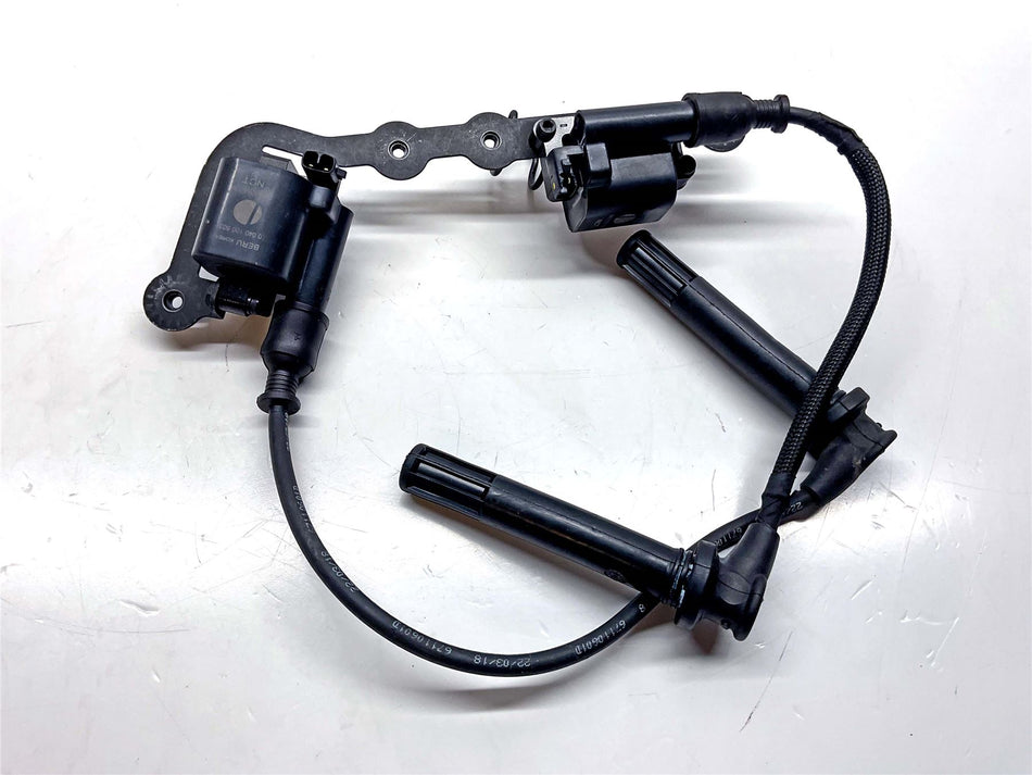 2018 Ducati SuperSport 939 S Ignition coils - 38010151A