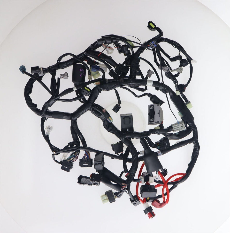 2019 ON YAMAHA NIKEN GT Wiring Harness - BD58259000