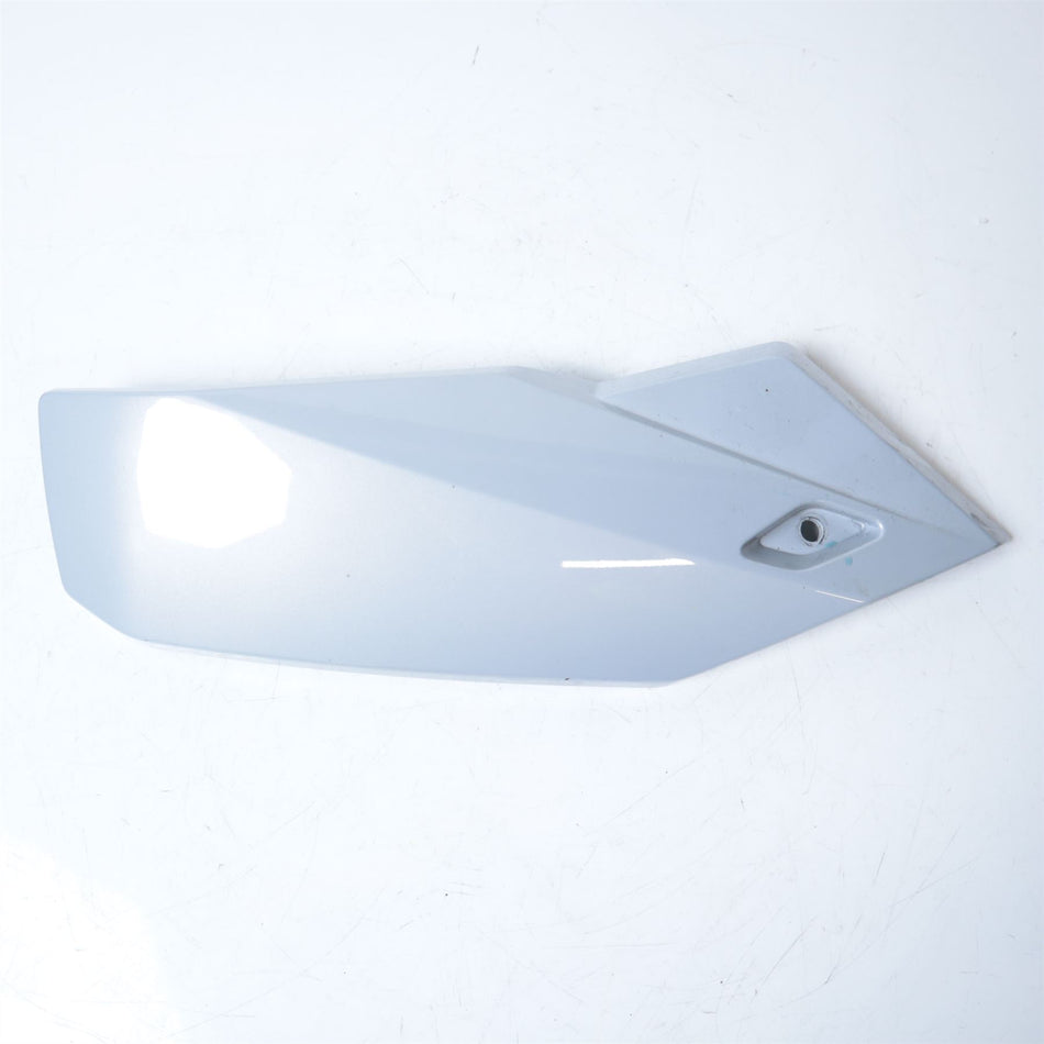 2021 BMW S1000R Left Tank Knee Panel (Silver) - 46638388967