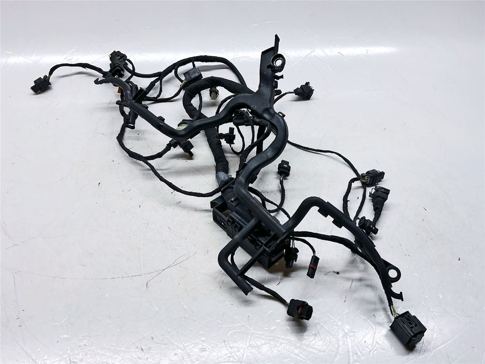 2019 BMW R1250GS Adventure Engine Wiring Harness - 12519480230
